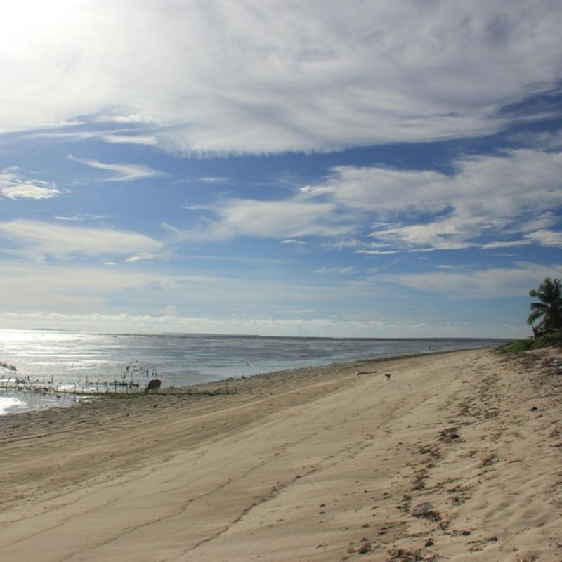 Terrain – villa - maison – propriété – à vendre – à louer – location - location longue durée – location à l’année – investissement – achat – vente – plage – bord de mer - sable blanc – Indonésie – Roti island – Bali – chambre – notaire – consultant - juridique – création - société – administration – voyage – entreprise – hôtel – commerce – restaurant – projet – visa – permis – travail – retraite – informations – découverte – aventure – produits – naturels – spa – salon – coiffure – réflexologie – savon – shampoing – anti-moustique – tourisme – plaisir – nature – surf – plongée – exploration – exotique – exotisme – massage – traditionnel – huile de massage – coucher de soleil – photos – galerie – soin de beauté – pédicure – manucure – agent immobilier – professionnel-Land - villa - house - property - for sale - rent - rental - leasing - rent annually - investment - purchase - sale - beach - sea - white sand - Indonesia - Rote island - Bali - bedroom - notary - consultant - legal - creation - company - administration - travel - business - hotel - shop - restaurant - project - visa - permit - work - retirement - information - discovery - adventure - products - natural - spa - lounge - hairdresser - reflexology - soap - shampoo – anti-mosquito – pleasure – nature – surf – diving – exploration - exotic - exotism - massage - traditional - massage oil - sunset - pictures - gallery - beauty treatment - pedicure – manicure – real estate agent – professional-Tanah - villa - rumah - properti - Dijual - disewakan - dikontrakan - menyewa per tahun - investasi - pembelian - penjualan - pantai - laut - pasir putih - Indonesia - pulau Roti - Bali - bedroom - notaris - konsultan - hukum - penciptaan - wisata - - bisnis - Hotel - bisnis - restoran - proyek - visa - izin - pekerjaan - pensiun - informasi - penemuan - petualangan - produk - spa - - alam ruang duduk - penata rambut - reflexology masyarakat - administrasi - sabun - shampoo – anti-nyamuk - Pariwisata - menyenangkan - semacam - surfing - diving – eksplorasi - eksotik - eksotis - pijat - tradisional - pijat minyak - sunset - Foto - galeri - perawatan kecantikan - pedicure – manicure – properti agen - Profesional